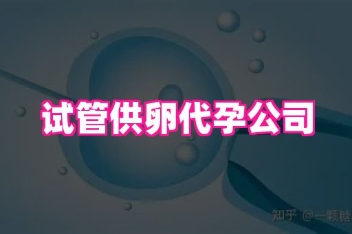 武汉助孕网站 1