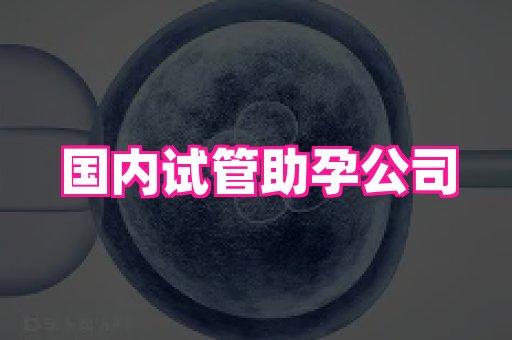 武汉助孕网站 2