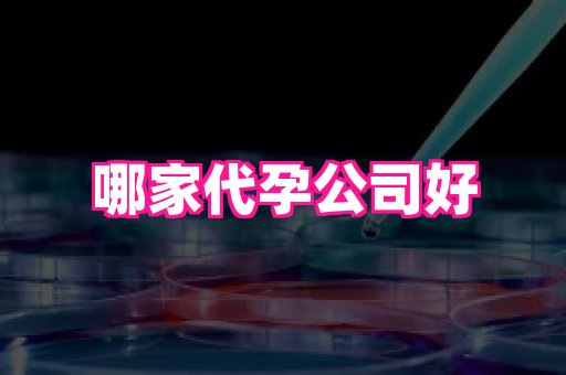 武汉助孕网站 3