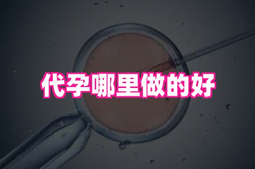 武汉助孕网站 4